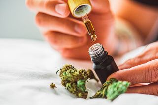 does cbd oil have thc in it