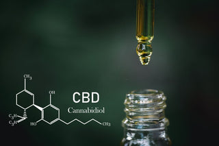 how long does it take for cbd oil to work