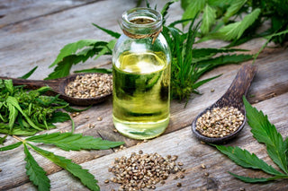 what is cbd oil made out of