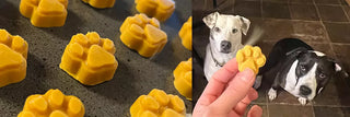 Calming CBD Dog Treats (No-bake DIY Recipe)