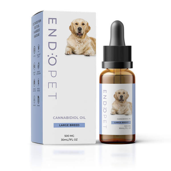 CBD Oil for Dogs