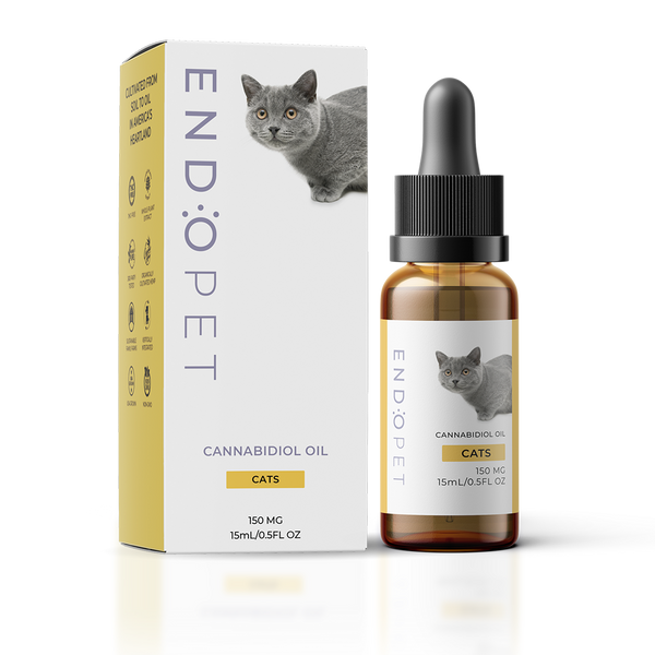 CBD Oil for Cats