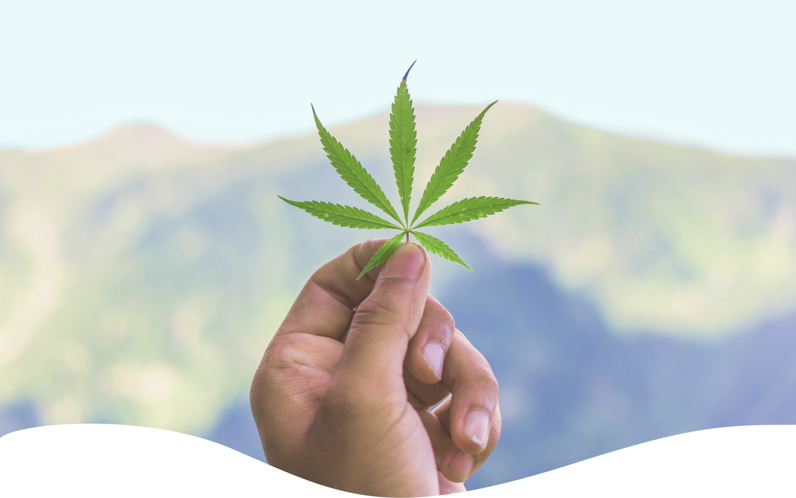 We are creating the industry standard