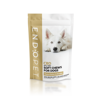 Packaging of CBD soft chews for dogs with a dog on the label.